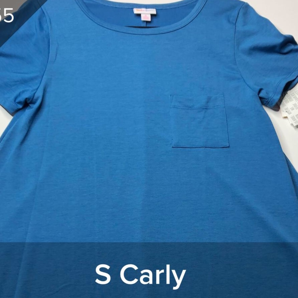 NWT Small Carly